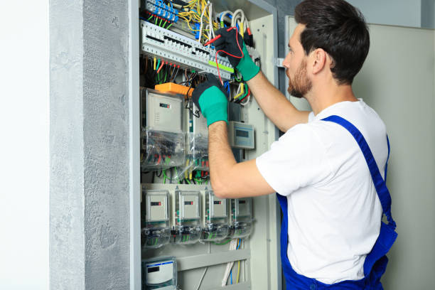 Best Electric Panel Repair  in Park Forest, IL